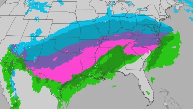 Winter Storm Fern Maps Tracker: Alerts, Radar, Snowfall Outlook, Ice Forecast And More