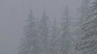 Winter Weather Warning ahead of Please ensure Javascript is enabled for purposes of website accessibility