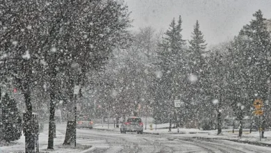 Winter storm could lift Conference Championship ratings