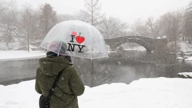 Winter storm update: 2 Upstate NY counties implement travel bans amid snow forecast