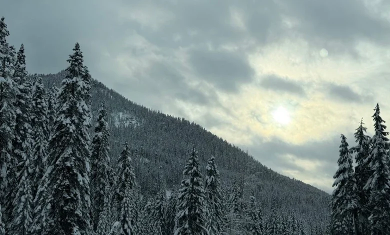 Winter weather conditions bring feet of snow, opening day for some slopes