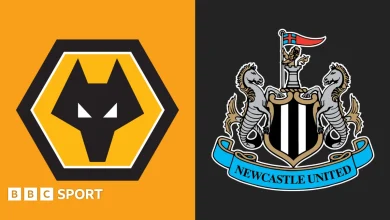 Wolverhampton Wanderers v Newcastle United