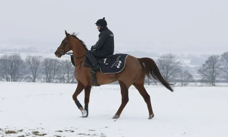 Wolverhampton to inspect again for Tuesday's all-weather meeting but Southwell confident it can beat the cold