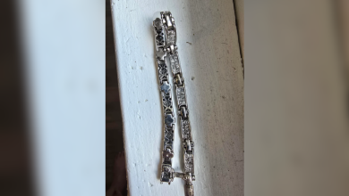 Woman Finds $8 Purse at Goodwill, Makes $1,200 Discovery in Pocket