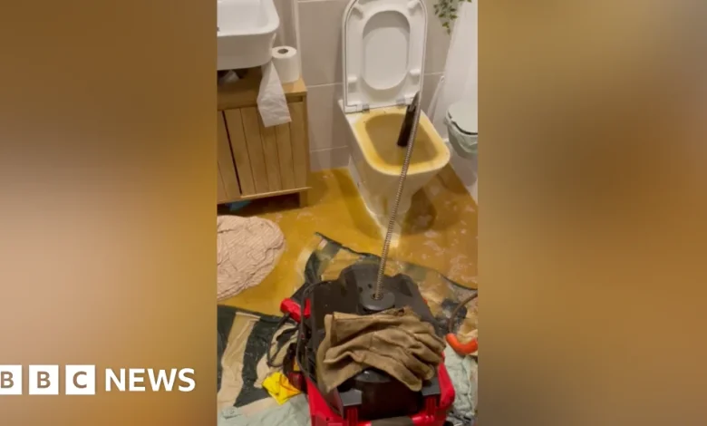 Woman battles to stop sewage spewing from toilet in Reading