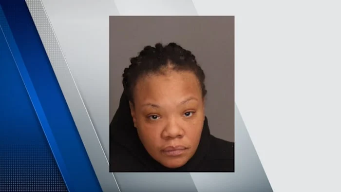 Woman charged in deadly hit-and-run crash in Westland on New Year’s Day