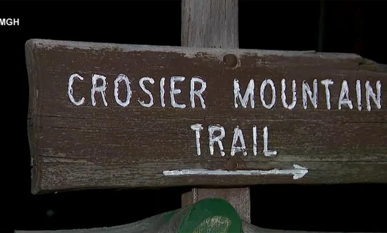 Woman killed in suspected mountain lion attack while hiking in northern Colorado