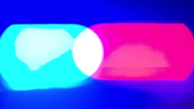 Women charged with biting Border Patrol agents’ fingers following Alex Pretti shooting