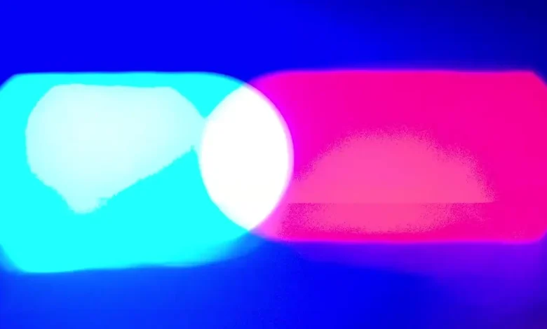 Women charged with biting Border Patrol agents’ fingers following Alex Pretti shooting