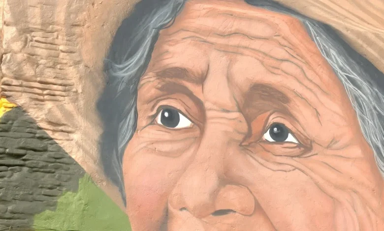 Ya está finalizado el mural de “La Barranca”