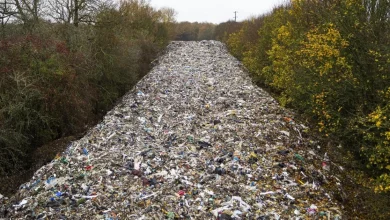 Yorkshire firm given £8m contract to clear Kidlington waste pile