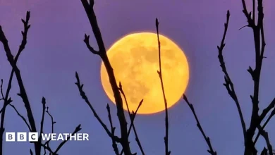 Your pictures of Saturday's Wolf supermoon