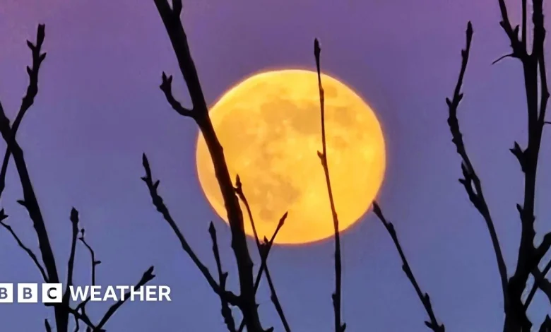 Your pictures of Saturday's Wolf supermoon