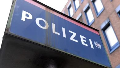 Zeuge beobachtete Pkw‑Einbruch in Wien-Hietzing