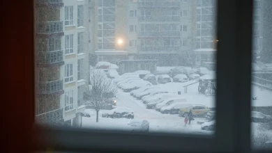 Žiema tęsiasi: šalyje išsilaikys sniegas ir šaltis