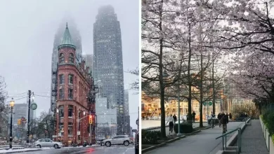 توقعات ربيع 2026 في كندا: طقس أبرد وأكثر رطوبة مع ثلوج وعواصف رعدية