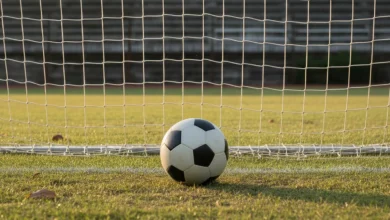 مباريات اليوم الجمعة 2 يناير والقنوات الناقلة