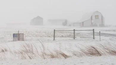 ‘Potentially catastrophic’ winter storm set to hit southern part of U.S