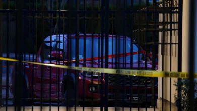 ‘Straight out of the authoritarian playbook’: Oregon leaders react to shooting by Border Patrol in Portland