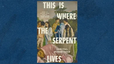 ‘This Is Where the Serpent Lives’ by Daniyal Mueenuddin book review