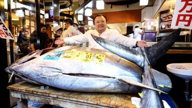 ‘Tuna King’ pays record ¥510.3 million for bluefin at Tokyo auction