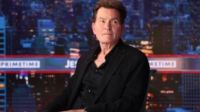 ‘aka Charlie’ was nothing but a sorry attempt at Charlie Sheen taking responsibility for his violence against women