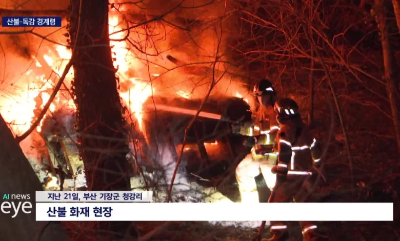 건조한 날씨 이어지며 산불에 독감까지