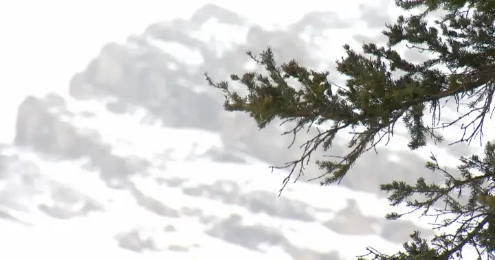 2 Skiers caught in avalanche, west of Calgary, 1 found ‘unresponsive’