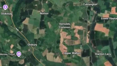 22 Megawatt Solar Farm Planned for South Shropshire