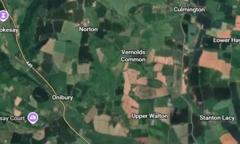 22 Megawatt Solar Farm Planned for South Shropshire