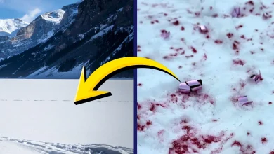 $25K fine possible after illegal gender reveal leaves pink stains on Lake Louise