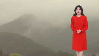 [8날씨] 내일 오전까지 짙은 안개 주의