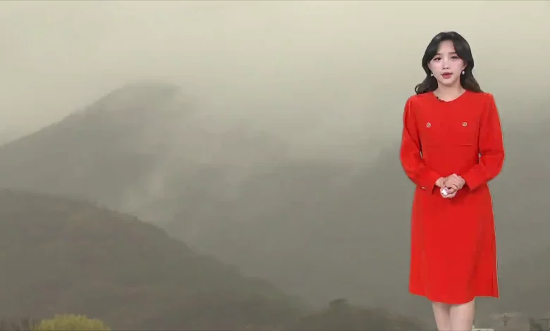 [8날씨] 내일 오전까지 짙은 안개 주의