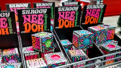 9-year-old Illinois boy severely burned after TikTok trend inspired him to microwave NeeDoh toy