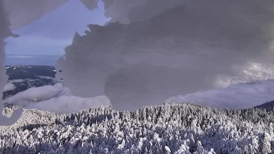 A Bit of a Break Today Will Clear Snow but Strong Winds and Later Heavy Rainfall to Impact Travel Across Northwest California