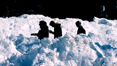 A bonkers 37.9 inches of snow hit this Northeast city. How that happened.