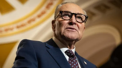 A moment of truth for Democrats ahead of this week's DHS shutdown deadline: From the Politics Desk