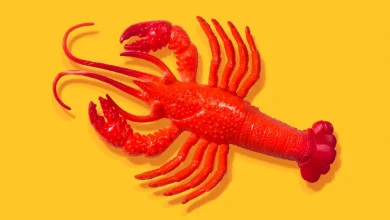 After all the hype, some AI experts don't think OpenClaw is all that exciting