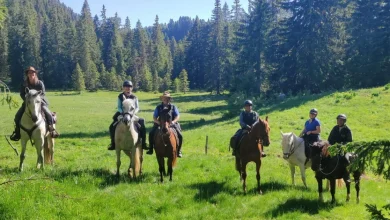 Ain. Le président de l’Ain à cheval : « Le tourisme équestre est un atout pour le département »