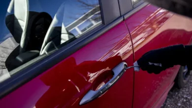 Ain. Pont-d’Ain : ils empêchent le vol d’une voiture mais se font frapper