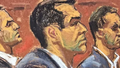 Alexander Brothers Witness Said Hamptons Partygoers Watched an Assault