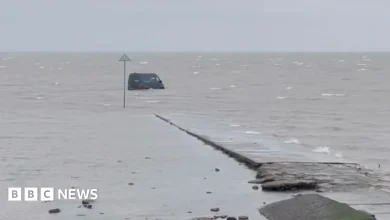 Amazon delivery van 'stuck on The Broomway after following GPS'
