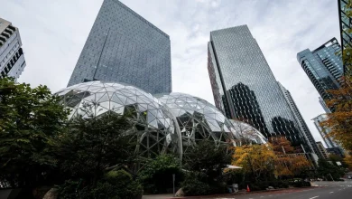 Amazon faces negligence lawsuit after suicides linked to toxic chemical bought online