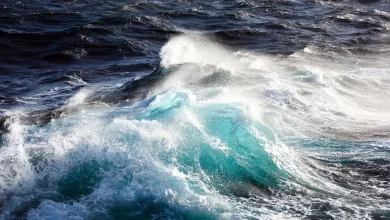 Ambasada RP we Włoszech ostrzega. Ryzyko podtopień, kilkumetrowych fal morskich i osuwisk