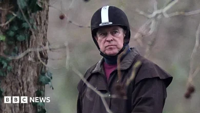 Andrew Mountbatten-Windsor under pressure to give evidence on Jeffrey Epstein