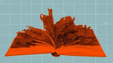 Anthropic Knew the Public Would Be Disgusted by How It Was Destroying Physical Books, Secret Documents Reveal