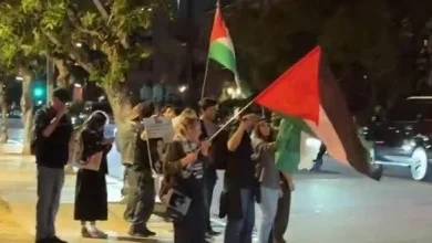 Anti-Israel protest outside Scream 7 premiere; director says 'everyone has a right to