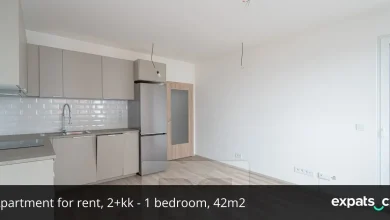 Apartment for rent, 2+kk - 1 bedroom, 42m2, in Prague, on Fabiánové street