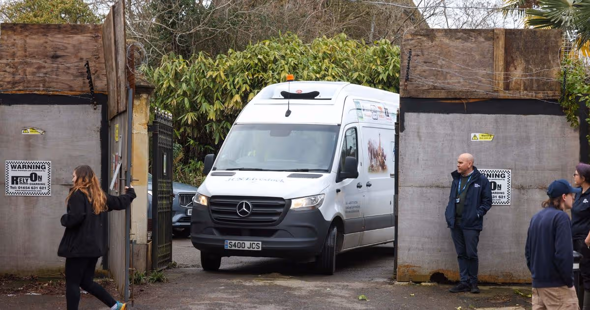 Armed police spotted at Bristol Zoo site in Clifton