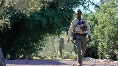 Artificial intelligence experts trying to find clues in Nancy Guthrie ransom note